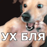 Пёсели