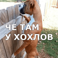 Пёсели