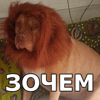 Пёсели