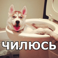 Пёсели