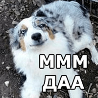 Пёсели