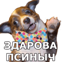 Пёсели