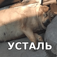 Пёсели