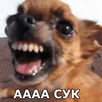 Пёсели