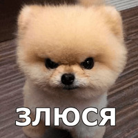 Пёсели