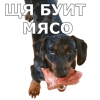 Пёсели