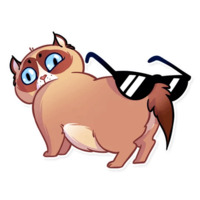 Кошка с закидонами