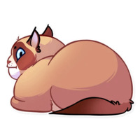 Кошка с закидонами