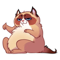 Кошка с закидонами