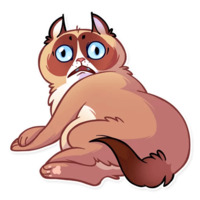 Кошка с закидонами