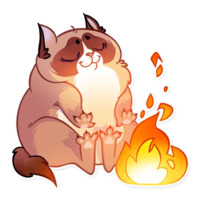 Кошка с закидонами