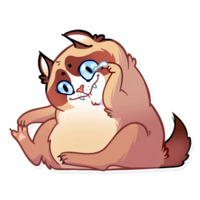 Кошка с закидонами