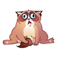 Кошка с закидонами