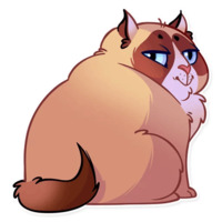 Кошка с закидонами
