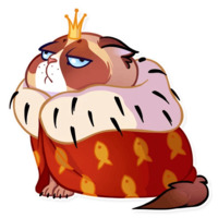 Кошка с закидонами