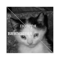 Копия подлинности