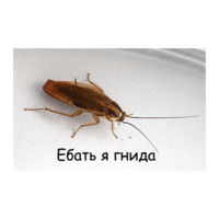 Копия подлинности