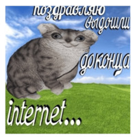 Копия подлинности