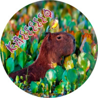 Копибара