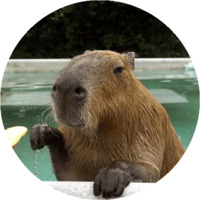 Копибара