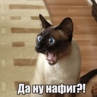 Котеечная любовь