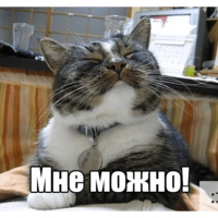 Котеечная любовь