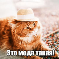 Котеечная любовь