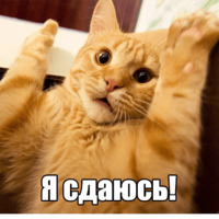 Котеечная любовь