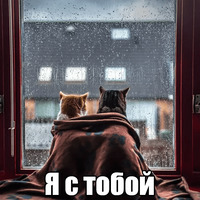 Котеечная любовь