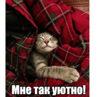 Котеечная любовь