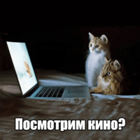 Котеечная любовь