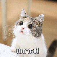 Котеечная любовь