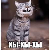 Котеечные дела