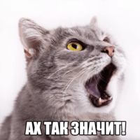 Котеечные дела