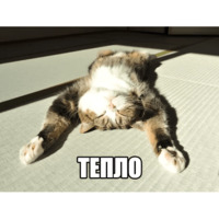 Котеечные дела