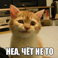 Котеечные дела