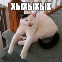 Котеечные дела