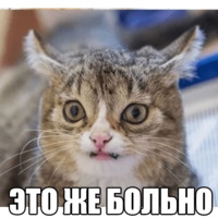 Котеечные дела