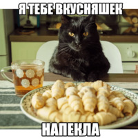Котеечные дела