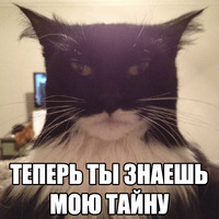Котеечные дела