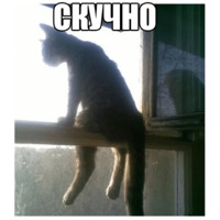 Котеечные дела