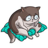 Кошачья коллекция