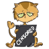 Кошачья коллекция