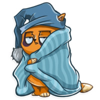 Кошачья коллекция