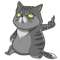 Кошачья коллекция