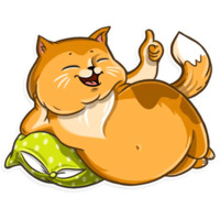 Кошачья коллекция
