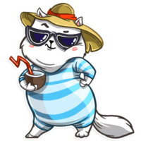 Кошачья коллекция