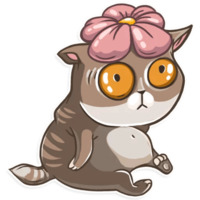 Кошачья коллекция