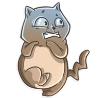 Кошачья коллекция