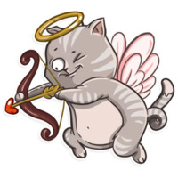 Кошачья коллекция